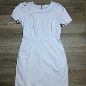 Calvin Klein Blush Pink Sheath Dress